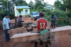 Premier vietnamita pide investigar la deforestación en Kon Tum