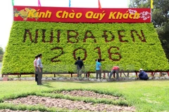 Amplias actividades en Vietnam para saludar Año del Mono