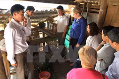 Buen resultado de asistencia irlandesa a provincia montañosa vietnamita
