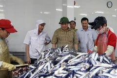 Quang Tri presta ayuda a afectados por muerte masiva de peces