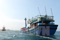 Pescadores vietnamitas rescatan a turista chino en Golfo Tonkín