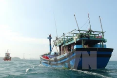 Pescadores vietnamitas rescatan a turista chino en Golfo Tonkín