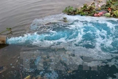 Ciudad Ho Chi Minh aspira a aprender experiencias de Japón en protección ambiental