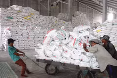 Vietnam destaca importancia de mercado filipino para exportación arrocera