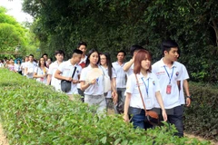 Jóvenes residentes en el exterior regresarán a Vietnam para campamento veraniego