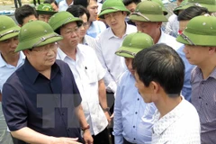 Vicepremier exige detectar causas de muerte masiva de peces en Ha Tinh