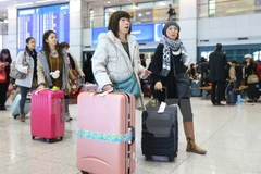 Vietnam, cuarto mayor receptor de visados para viajar a Japón