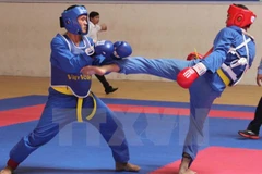 Arte marcial vietnamita Vovinam ausente en SEA Games 29