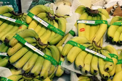 Plátanos vietnamitas son preferidos en mercado de Japón
