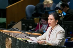 Vietnam exhorta aumentar recursos para el desarrollo