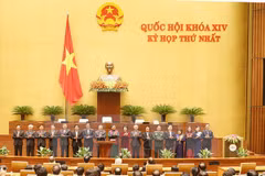 Presentan candidatos a organismos del Parlamento e inspección estatal de Vietnam