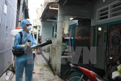 Ciudad Ho Chi Minh confirma nuevos casos del virus del Zika