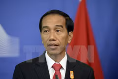 Indonesia y Sudcorea robustecen cooperación multifacética