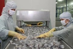 Procesan camarones exportables en Hau Giang (Fuente: VNA)
