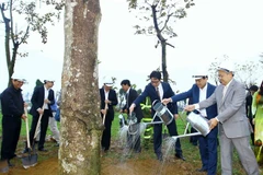 Lang Son lanza campaña para plantación de árboles