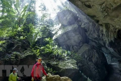 Descubren 44 nuevas cuevas en parque Phong Nha-Ke Bang en Vietnam 