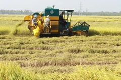 Myanmar en proceso de recuperación económica, pero con fluctuación en inversiones