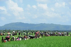 Bangladesh pospone regreso de refugiados rohingya a Myanmar