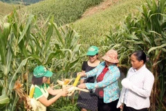 Informe de BM resalta logro de Vietnam en reducción de la pobreza