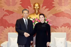 Presidenta del Parlamento de Vietnam recibe a dirigente partidista de China 