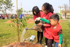 Japón respalda a Hanoi en proyecto de plantación de árboles