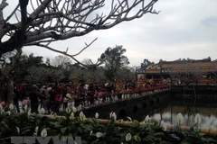 Ciudad Imperial de Hue reporta alta llegada de turistas durante el Año Nuevo Lunar