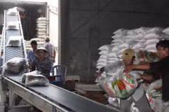 Vietnam aspira a ingresar fondo multimillonario por exportación de arroz en 2018