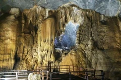 Cueva Paraíso: Museo de arte natural