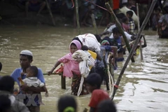Japón y Myanmar debaten sobre crisis de los rohingyas