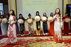 Celebran Día de la Cultura vietnamita en Egipto