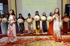 Celebran Día de la Cultura vietnamita en Egipto