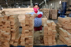 Exportaciones de madera de Vietnam se prevé alcancen ocho mil 850 millones de dólares este año