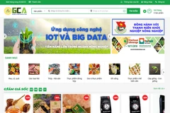 Debuta mercado electrónico de productos agrícolas limpios en Vietnam 