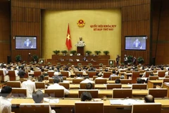 Electores vietnamitas aprecian resultados del cumplimiento del plan financiero nacional