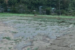 Inundaciones dejan cuatro muertos en provincia vietnamita de Son La