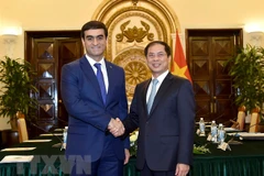 Cancillerías de Vietnam y Turkmenistán celebran consultas políticas