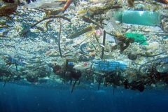 Vietnam responde al Día Mundial del Medio Ambiente y a la Semana del Mar y las Islas