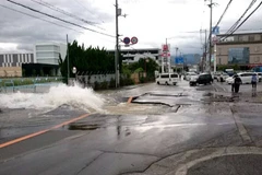 No reportan ninguna víctima vietnamita en terremoto en Japón