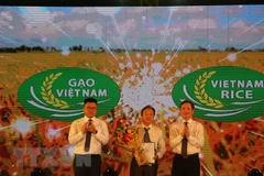Debaten medidas para desarrollar la marca comercial del arroz vietnamita