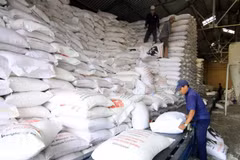 Registra Vietnam perspectivas positivas en exportación de arroz
