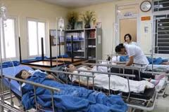 Vietnam intercambia experiencias con Japón en medicina, biología y tecnología 