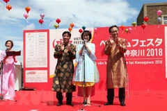 Divulgan belleza de la cultura vietnamita en ciudad japonesa 