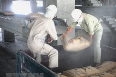 Buenas señales para la exportación de materiales de construcción de Vietnam