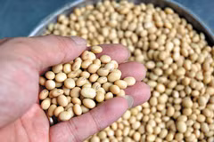 Vietnam y Australia promueven cooperación agrícola