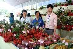 Empresas vietnamitas precisan estudiar mercado chino para guiar exportaciones agrícolas