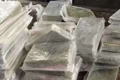 Vietnam desmantela banda transfronteriza de narcotraficantes