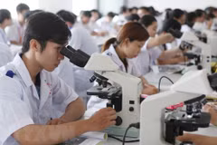 Vietnam y Japón promueven intercambio académico en la medicina 