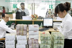 Ministerio de Agricultura y Desarrollo Rural de Vietnam emite más de un millón de bonos de carbono