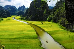 Turoperadores promueven desarrollo del turismo de provincia norvietnamita de Ninh Binh