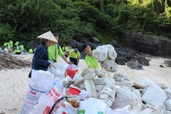 Organizaciones internacionales unen manos para proteger entorno natural en Vietnam